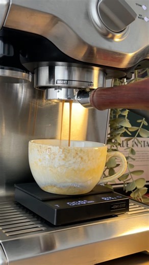 EVDE LATTE ART YAPIYORUM | SAGE BES 810 DUO TEMP PRO