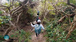 🏝️ Trekking 8 Nàng Tiên - Cung đường trekking dành riêng cho dân văn phòng 🏝️ Bạn hãy tưởng tượng điều đầu tiên thức dậy vén cửa lều lên là ánh mặt trời ☀️ ló vài tia nắng đầu tiên trên mặt biển, không khí thật trong lành và sảng khoái. Tổ Ong hỏi bạn nhé "Đã bao lâu rồi bạn chưa đón ánh bình mình? 1 năm, 2 năm hay từ lúc rời quê hương lên thành phố?" "Đã lâu rồi đúng không?" 🏝️ Bạn tiếp tục rảo bước với đôi chân trần trên mặt cát trắng xung quanh. Còn gì tuyệt vời hơn khi đắm mình vào làn nư