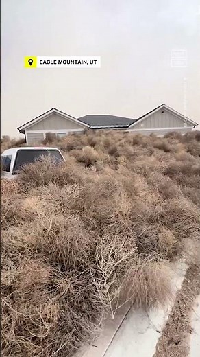 Utah, Nevada Towns Hit With 'Tumblemageddon'