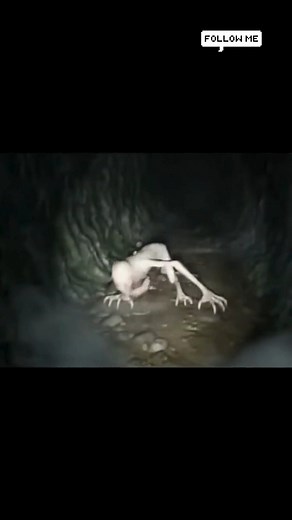 Found Footage Horror: Real Scary Encounters That Will Keep You Awake Tonight #horror #scary #creepy #paranormal #scarystory #horrorstory #ghost #haunted #demon #foundfootage #realhorror #scarystuff #creepystory #nightmare #horrorshort #horrortok #scarystiktok #truehorror #ghostvideos #paranormalactivity | Dark Veil Horror