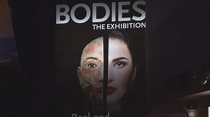 Luxor's Bodies exhibit features effects of smoking on human bodies