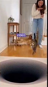 The Simple Secret: Why Finger Games Are Addictive (Cognitive Science)