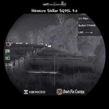 Thermal Fox shooting with 17hmr and Hikmicro Stellar SQ35L 3.0