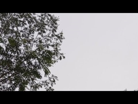 PUNCAK BANGKU 03/1/26 || NEGERI DIATAS AWAN