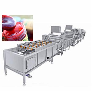 [Hot Item] Complete Automatic Prickly Pear Jam Production Line