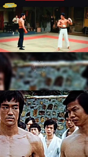 Did you Know that Bruce Lee and Bolo Yeung sparred in real life? #fyp #viral #fblifestyle | Martial Arts Icons