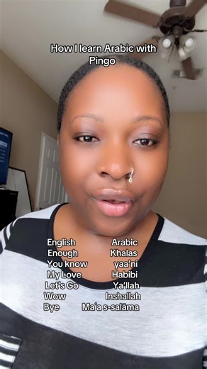 Learning Arabic with Pingo: Essential Words and Phrases