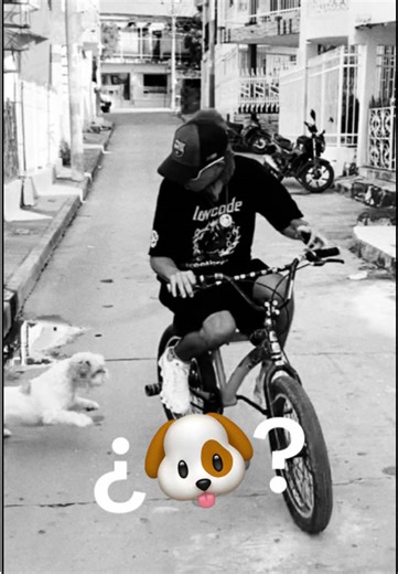 Me mordió o no me mordió?🧐 #vacilao