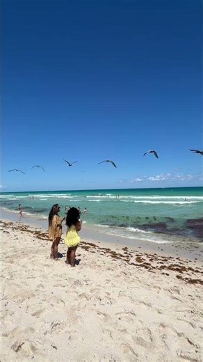 🇺🇸 SPRING BREAK IN MIAMI BEACH, Florida ☀️ USA #shorts
