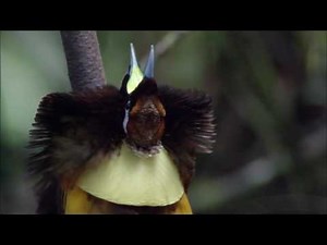 Planet Earth 01 From Pole to Pole Part 10