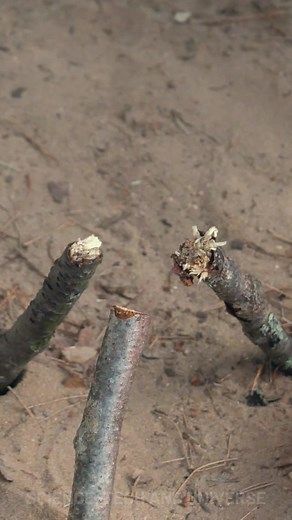 Camping Candles Made From Waste | Science, Tech and Universe