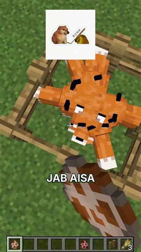 Fox IQ Test 🦊 #minecraft #meme