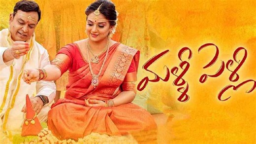 Malli Pelli: భారీ బడ్జెట్ తో మళ్లీ పెళ్లి.. పెద్ద దెబ్బే పడిందే?