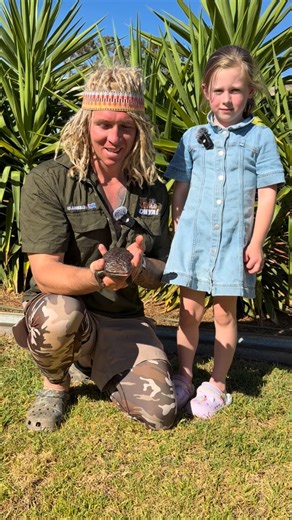 Josh Neille on Instagram: "In the backyard of the rural property we’re staying at here in outback New South Wales and look who decided to make an appearance 👀 This is one of the resident Stumpy-tailed lizards that lives in the backyard and he is an absolute ripper specimen 💪🦎 Ashlee was absolutely stoked to see him and honestly, even for me, these guys never get old They’ve got a lot of similarities to our Blue-tongue skinks, but the armour-plated body, that short chunky tail, and the sheer m