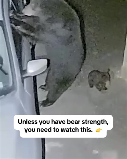 2.8K views · 56 reactions | Most people keep a first aid kit in the car – but according to safety experts, there’s another tool that’s just as essential. | SafetyFirst 24 | Facebook