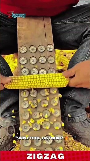 Genius Farming Tools for Smale - Scale Corn Harvesting