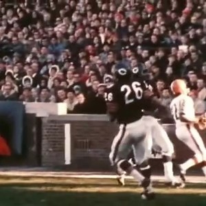 1969-11-30 Cleveland Browns @ Chicago Bears (Paul Warfield 10-yard touchdown pass from Bill Nelsen) | On this day in Professional Football History