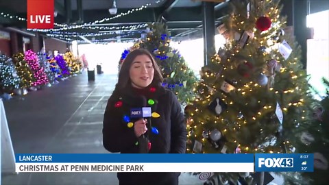 Penn Medicine Park brings holiday cheer with light show and 117 decorated trees in Lancaster