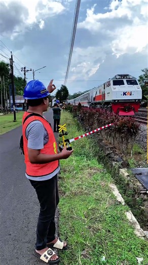 Toy Gate Officer Stops Train Using Toy Gate #traingatestop