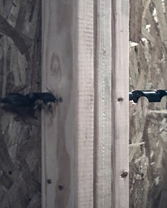 1.2K reactions · 72 shares | Charge through nail-embedded wood with SPEEDBOR SUPREME™ Bits designed for up to 3X longer life*. | IRWIN Tools | Facebook