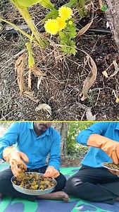 Natural farming methods,|#deerghaayush,|#naturalfarming,|#organicfarming,|#agriculture,|#naturalfarminginputs,|#shorts,|#trending | Deerghaayush
