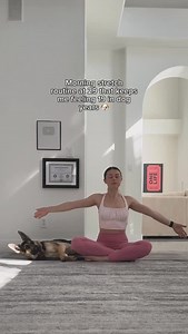 EVERYONE should be doing this everyday. Even dogs…. But seriously. Doing these movements everyday will have you feeling amazing in your body. So make sure to get this in - it takes less than 10 mins! And make sure your furbaby joins you 🐶 1. Seated twist 2. Cactus 3. Cactus cat/cow 4. Ragdoll 5. High to low lunge with pelvis tucked 6. Half split to low lunge #flexibility #mobility #yoga #fitness #reels #dogyoga | Yoga With Katharine