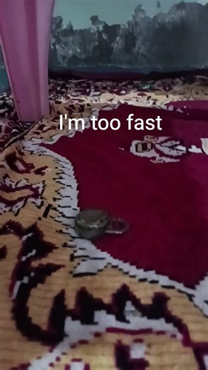 i'm too fast