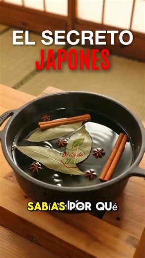 Recetas Fitnes 🥙💪 on Instagram: "🔥¡VAMOS A EMPEZAR EL RETO! -10KG🔥 Comenta “info” o haz clic en el enlace de mi perfil antes de que termine para obtener tu Desafío. ¡Atención! 👇🏻👇🏻👇🏻🚨 🔥 ¡Pierde 10KG en SOLO 22 días desde casa! 🔥 🚨 Si ya probaste de todo y sigues con esos kilos de más, esto es para TI. ¡Basta de dietas que no funcionan y entrenamientos aburridos! 💪 Con nuestro MÉTODO EXCLUSIVO, vas a transformar tu cuerpo con: ✅ Plan de ejercicios personalizados para hacer en 