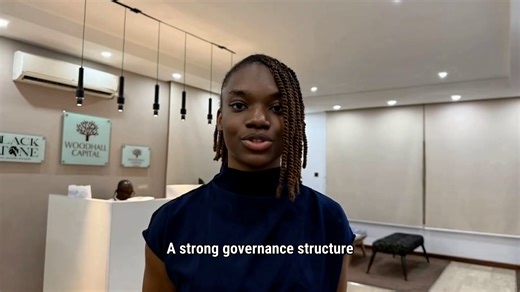 RISK GOVERNANCE STRUCTURE_1080p_caption