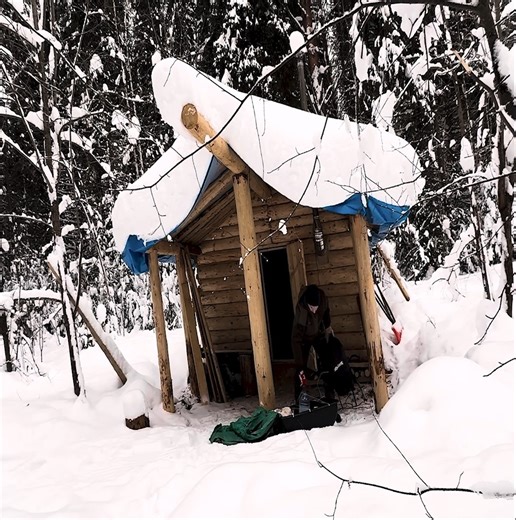 15K views · 261 reactions | I reside with my four-legged companion in a log home. | Building Skills | Facebook