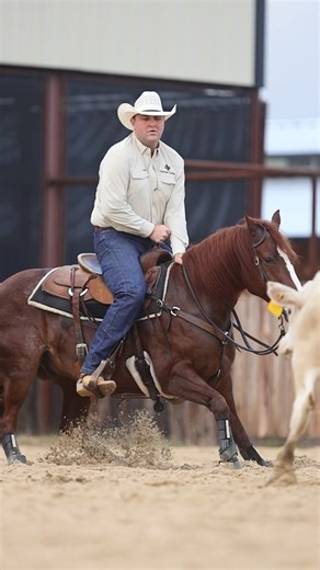 When it comes time to sell a horse, 𝐫𝐞𝐩𝐫𝐞𝐬𝐞𝐧𝐭𝐚𝐭𝐢𝐨𝐧 𝐦𝐚𝐭𝐭𝐞𝐫𝐬. You want a team that truly understands the industry and knows how to position your horse in front of the right buyers. That is exactly what you get with 𝟖𝟏𝟕 𝐇𝐨𝐫𝐬𝐞 𝐒𝐚𝐥𝐞𝐬. With more than $𝟗 𝐦𝐢𝐥𝐥𝐢𝐨𝐧 in combined lifetime earnings, 𝐌𝐚𝐭𝐭 𝐌𝐢𝐥𝐥𝐞𝐫, 𝐓𝐚𝐫𝐢𝐧 𝐑𝐢𝐜𝐞, and 𝐊𝐨𝐝𝐲 𝐏𝐨𝐫𝐭𝐞𝐫𝐟𝐢𝐞𝐥𝐝 are respected names throughout the cutting horse industry. Their deep industry knowledge, p