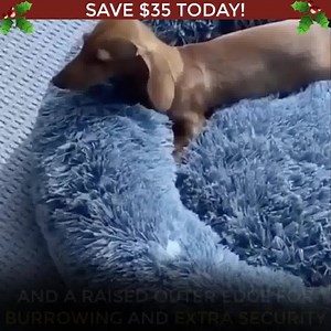 14K reactions · 2.8K shares |  Treat your Fur Baby this Holiday...