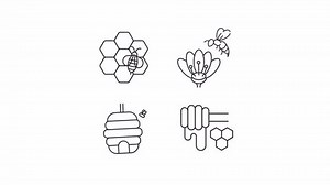 Apiculture Animation Set Beekeeping Animated Line Stock Footage Video (100% Royalty-free) 3600646783 | Shutterstock