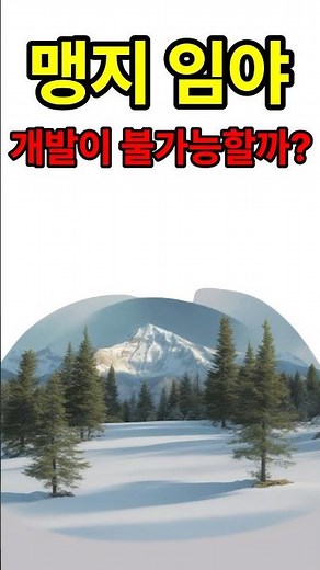 맹지 임야 도로 없이 할 수 있는 행위 보전산지에서도 가능!