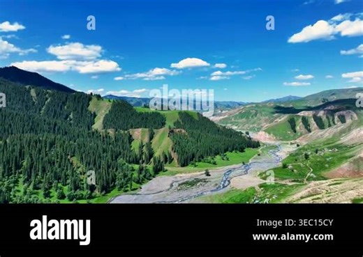 Stunning aerial view of a lush mountain valley featuring dense forests, a winding river, and rolling hills under a bright blue sky. Ideal for travel, nature, and environmental projects Stock Video Footage - Alamy