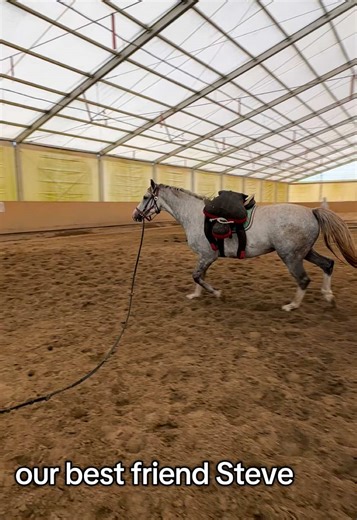 Riding Adventures with Our Best Friend Steve