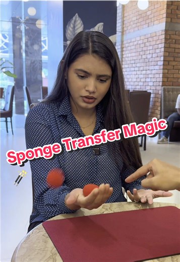 Sponge Transfer Magic 🪄