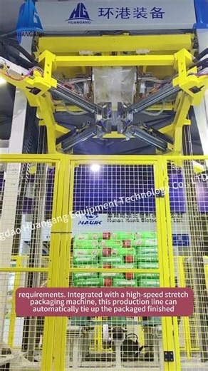 Tile adhesive equipment with packaging machine and mixer