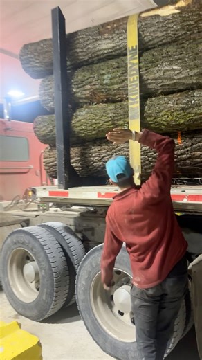 That’s not going anywhere! | Dan Yoder