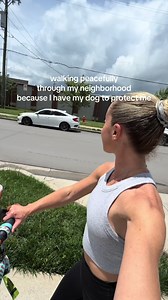 Dachshund Protecting Owner on Peaceful Neighborhood Walk