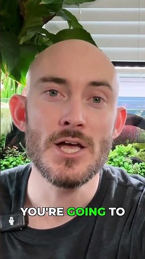 PAR Meter Secrets for Aquarium Light Intensity! #aquascaping #aquascape #aquascapelowtech