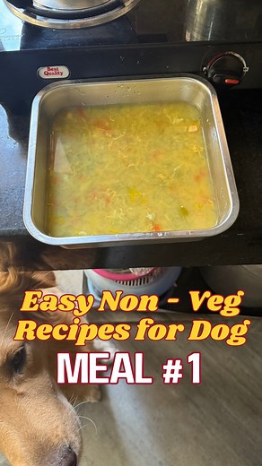 Meal 1/30 — Winter Veggie Egg Soup 🍲 A warm, cozy meal packed with nutrients your dog will love 🐶 ✨ Benefits: • Loaded with vitamins from carrots, beans, capsicum & broccoli 🥕🥦 • Turmeric adds anti-inflammatory & immunity-boosting benefits ✨ • Egg gives a dose of high-quality protein & shiny coat goodness 🍳 • Light on the tummy yet super nourishing 🌿 👉 Follow @k9vitalityindia for more easy, healthy & homemade dog recipes! ❤️ #dognonvegfood #dogrecipes #dogrecipe #dogegg #doghealthyrecipes