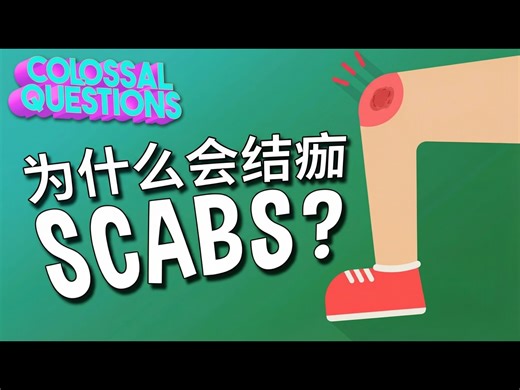【中配】为什么我们会结痂：庞大问题的趣味科学 - Colossal Cranium