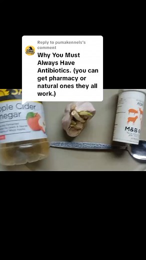 10K views · 105 reactions | More Light On Antibiotics During Parvovirus Treatment. #parvovirus #treatment #puppy #dogsofttiktok #dogcare | MrPuma | Facebook