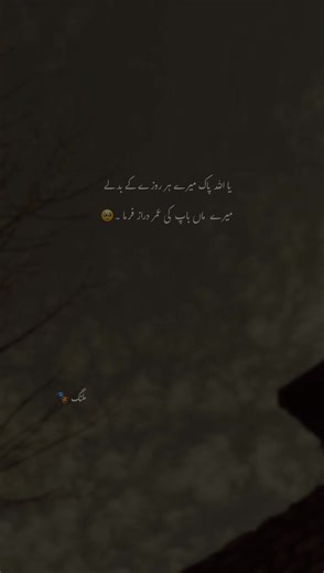 Ameen: A Heartfelt Urdu Poetry Collection
