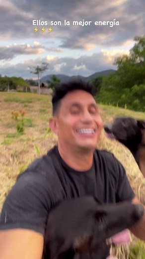 Divertidos vídeos de perros en TikTok con Hebert Vargas