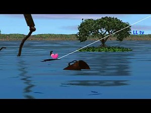 Digimon World 1 walkthrough guide - How to find Seadramon