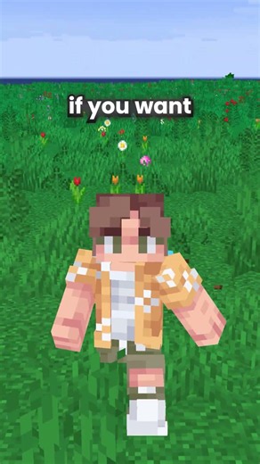 Best Country to Live In on This Minecraft Earth SMP? #minecraft #minecraftserver #smp #earthsmp