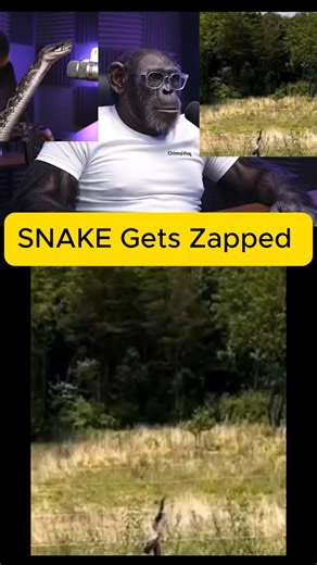 🚀 Let’s create more epic AI content together! 💡✨ Download Flashloop [https://www.flashloop.app/?utm_source=chatgpt.com ] now and join the movement. The more you engage, the more AI magic we can create! 🔥 👉 Don’t forget to use my referral code: G2NSBK when signing up. Let’s build the future of AI content — together! 💻⚡ #reels #funny #ai #crazy | Immanuel Zitha