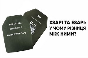 XSAPI vs. ESAPI: What Is the Difference Between Them – a guide from Punisher blog